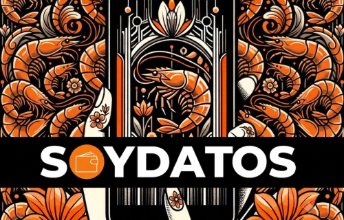 10 CLAVES CAMARON SOYDATOS