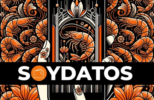 10 CLAVES CAMARON SOYDATOS