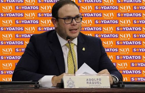 ADOLFO RAQUEL DIPUTADO