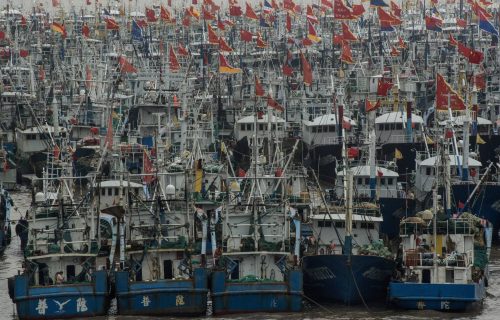 BARCOS CHINOS DE PESCA