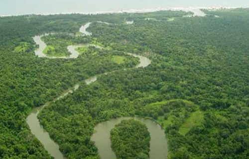 Biosfera-Rio-Platano