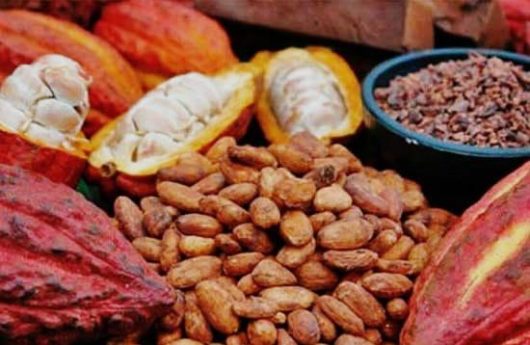 CACAO