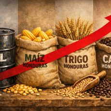 CAFE MAIZ TRIGO PETROLEO
