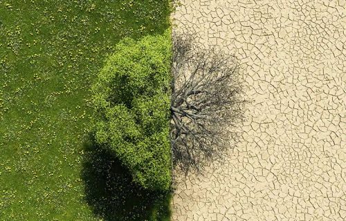 CAMBIO CLIMATICO