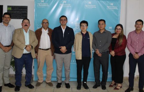 CHINOS INVIERTEN FERTILIZANTES