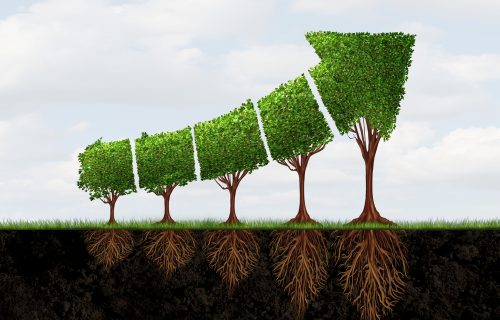 Growing,Economic,Success,Business,Growth,As,An,Abstract,Concept,For