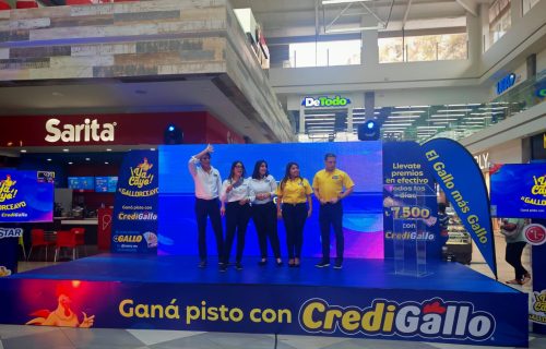 CREDIGALLO