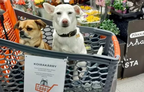 Captura de pantalla 2023-09-01 a las 07.04.05