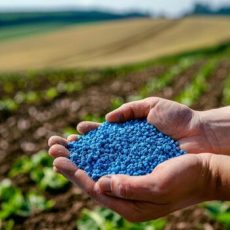 FERTILIZANTES