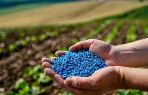 FERTILIZANTES