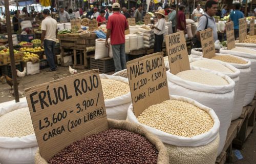 FRIJOSL MAIZ ARROZ EN MERCADO