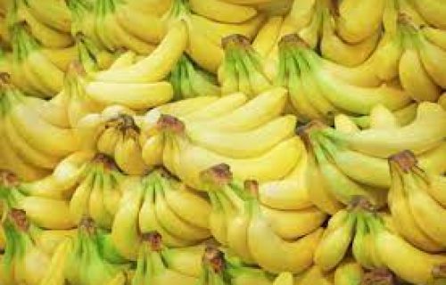 HONDURAS BANANAS