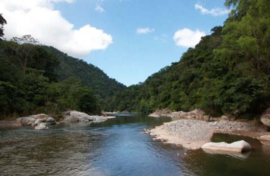 LA CEIBA RIO