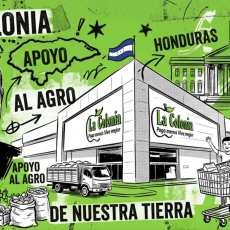 LA COLONIA ANALISIS