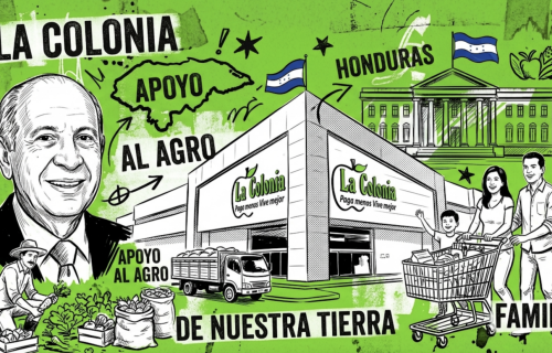 LA COLONIA ANALISIS