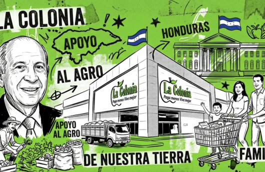 LA COLONIA ANALISIS
