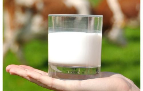 Leche