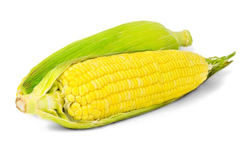 Sweet,Corn,With,Husk,Isolated,On,A,White,Background