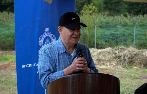 MANUEL BONILLA