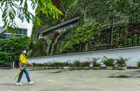 MEDELLIN MURO VERDE