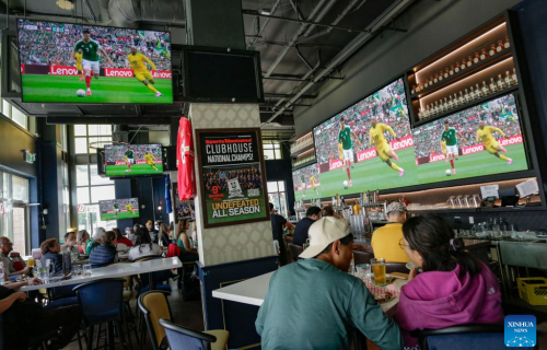 MUNDIAL AFICIONADOS
