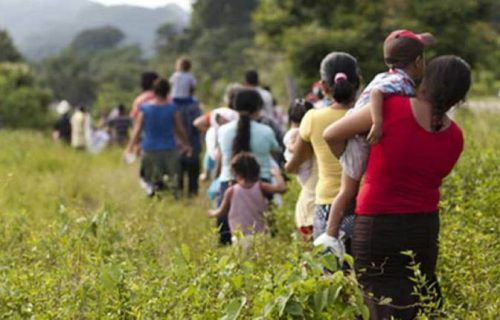 Migrantes