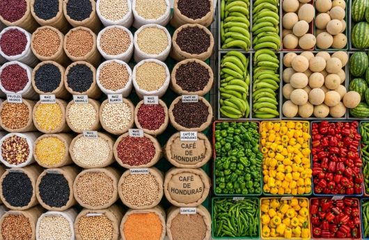 PRODUCTOS AGRO HONDURAS