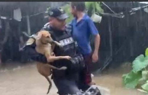Policia y mascota