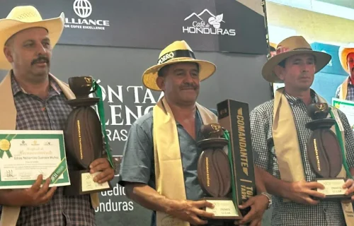 XXII Taza Excelencia