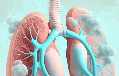 Pulmones