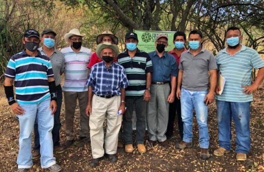 Junta Directiva de la caja rural Fe y Esperanza de la comunidad de Santa Lucia, Aldea El Picacho, Municipio de Goascorán, departamento de Valle, Honduras