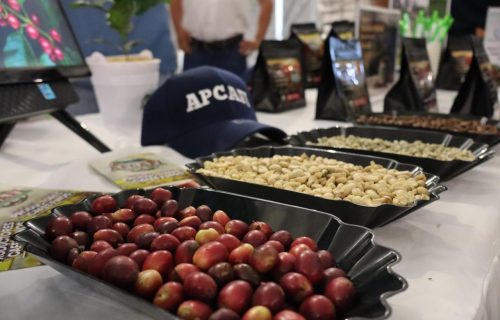 Seguridad alimentaria