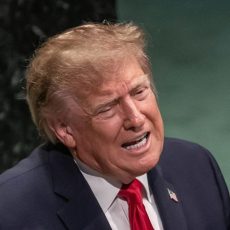 TRUMP ONU