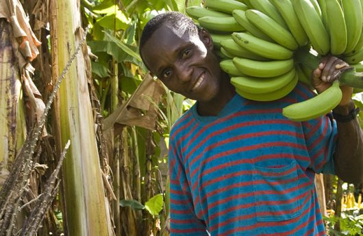 George Dunu, working at VREL