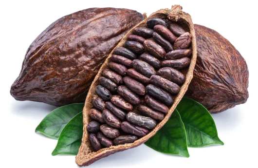 cacao 1