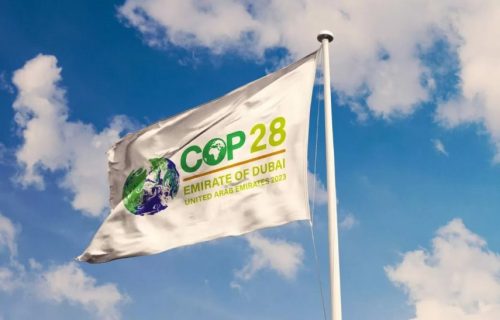 cop28 BANDERA