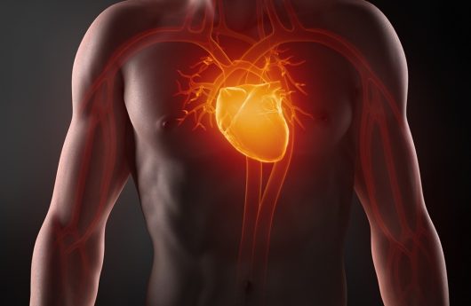 corazon