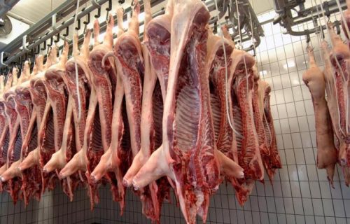 importacion-de-carne-de-cerdo-aumento-1326-en-el-primer-seme-17099