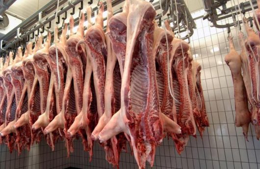 importacion-de-carne-de-cerdo-aumento-1326-en-el-primer-seme-17099