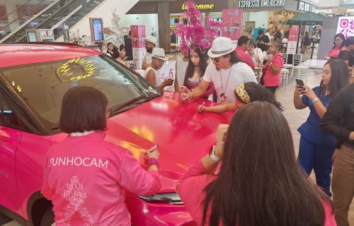 rosa chevrolet