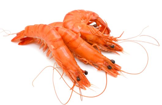 Cooked,Tiger,Shrimps,Isolated,On,White,Background